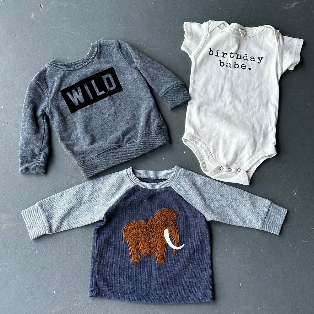 Baby Clothes Bundle Wild Sweatshirt Birthday Babe Mammoth Top 12M 18M